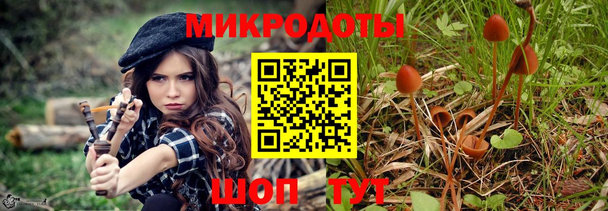 Галлюциногенные грибы Psilocybine cubensis  Вход с VPN  Ижевск 